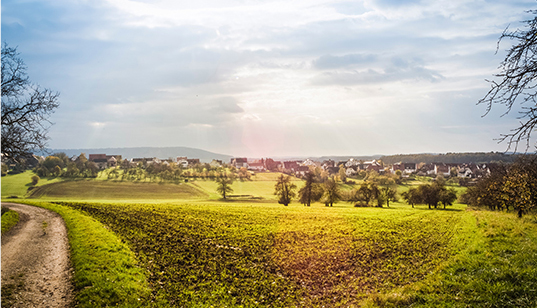 創(chuàng)收創(chuàng)富，產(chǎn)業(yè)扶貧